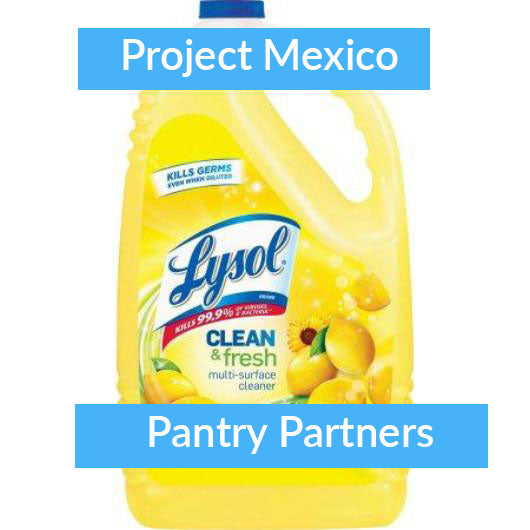 Lysol degreaser