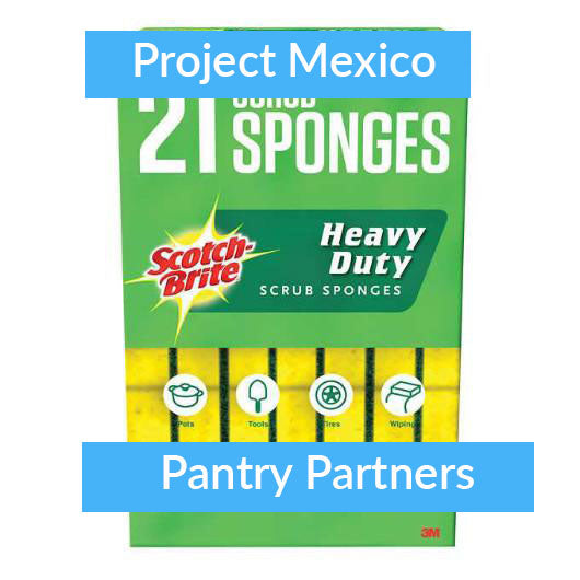 Sponges